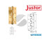 CERNIERA A MOLLA SEMPLICE AZIONE SA 180 ORO BRILLANTE JUSTOR 5814 04