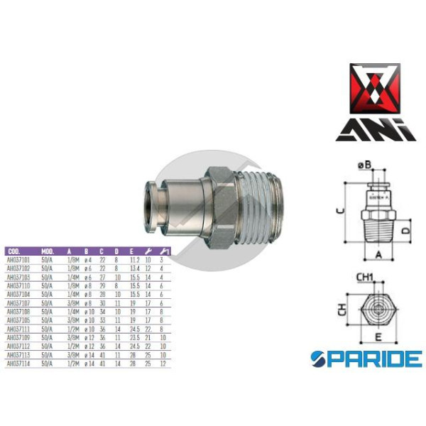 RACCORDO DRITTO 1\2 MASCHIO D 12 MM 50\A AH037112 ...