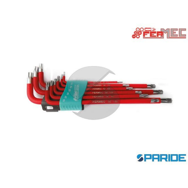 SERIE 9 CHIAVI TORX MAGNETICHE EXTRA LUNGHE 96950 ...