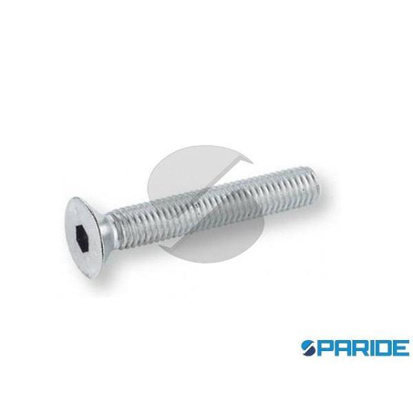 VITE INOX TPSEI 12X50 MM DIN 7991 ISO 10642 UNI 5933