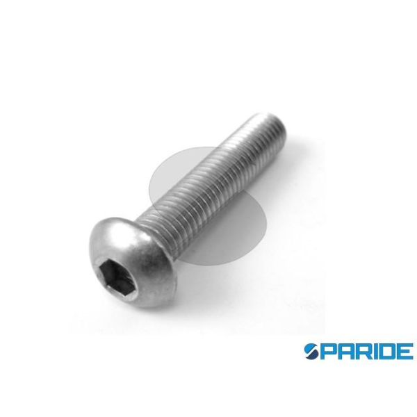 VITE INOX TTEI 5X14 MM BUTTON ISO 7380